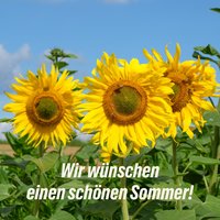 Sonnenblumen mit Text "Schönen Sommer!"