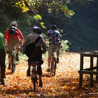 Radfahrer im Herbst