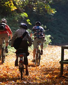 Radfahrer im Herbst