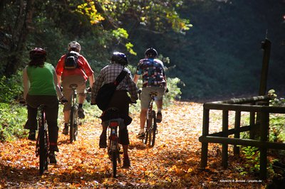 Radfahrer im Herbst