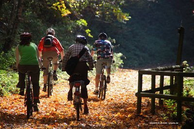 Radfahrer im Herbst